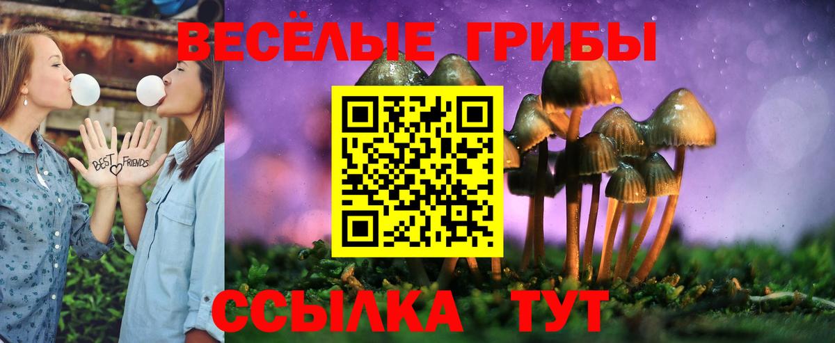 Галлюциногенные грибы прущие грибы  Псилоцибиновые грибы GOLDEN TEACHER  Вход с VPN  Тосно 