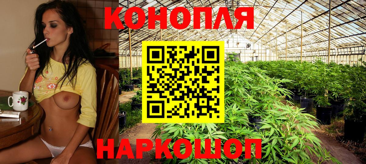 Каннабис тримм  Конопля LSD WEED  Вход с VPN  Тосно  Каннабис гибрид 